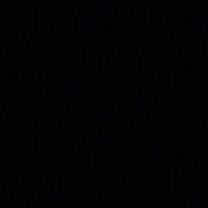 Meet your Posher, Wyatt